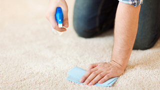 Hand Knotted Rugs Carpet Manufacturer and Exporter in India 